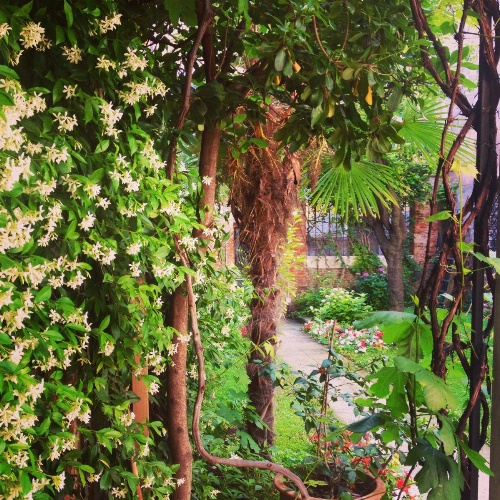 3749 Pontechiodo image 9